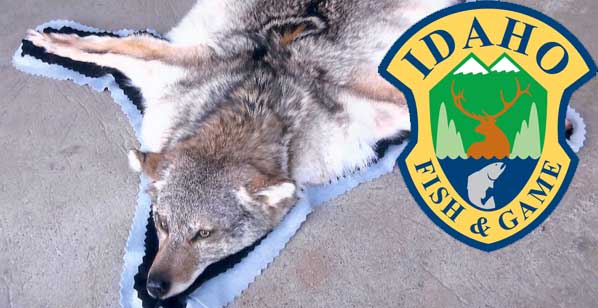 2011 Idaho Wolf Tags Now Available!